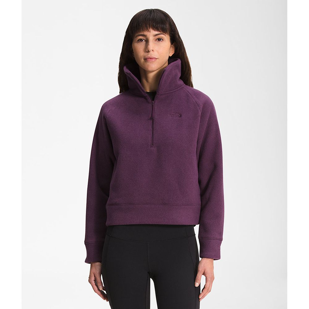 The North Face Fleece Jacket Womens Australia - The North Face City Standard Micro- ¼ Zip Burgundy /